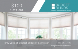 budget blinds vs home depot