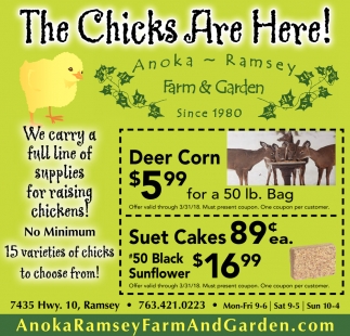 The Chicks Are Here Anoka Ramsey Farm And Garden Anoka Mn