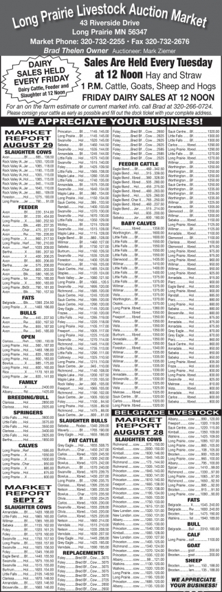 Dairy Sale Held Every Friday, Long Prairie Livestock Auction Market ...